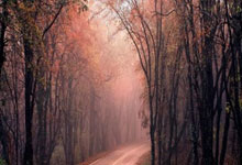 美因茨：团结争胜，向着胜利进发