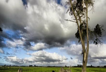 马德里德比：皇马遭马竞逆转