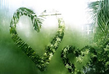 凯尔特人胜公牛，泰瑞里分当家