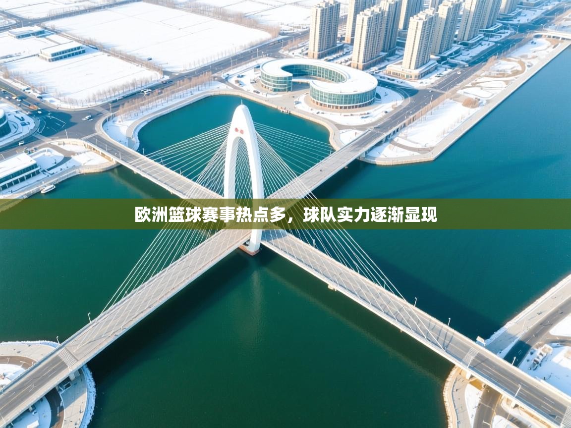 欧洲篮球赛事热点多，球队实力逐渐显现  第2张