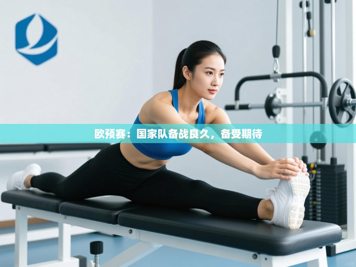 欧预赛：国家队备战良久，备受期待  第2张